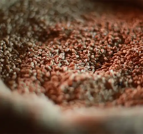 EMEC - Food Industry