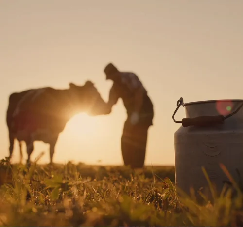 EMEC - Livestock Farming